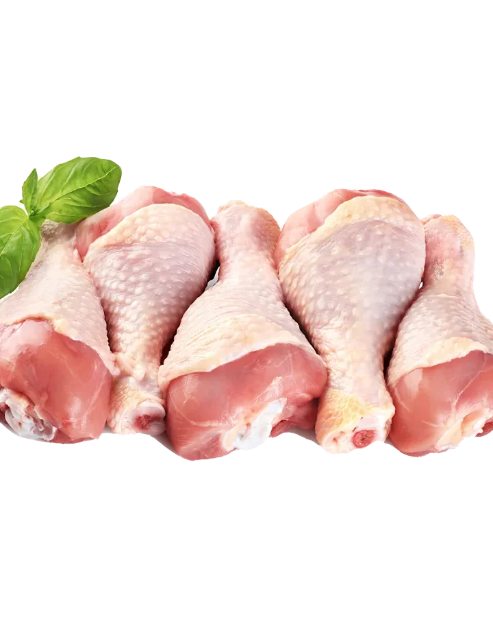 podudzie